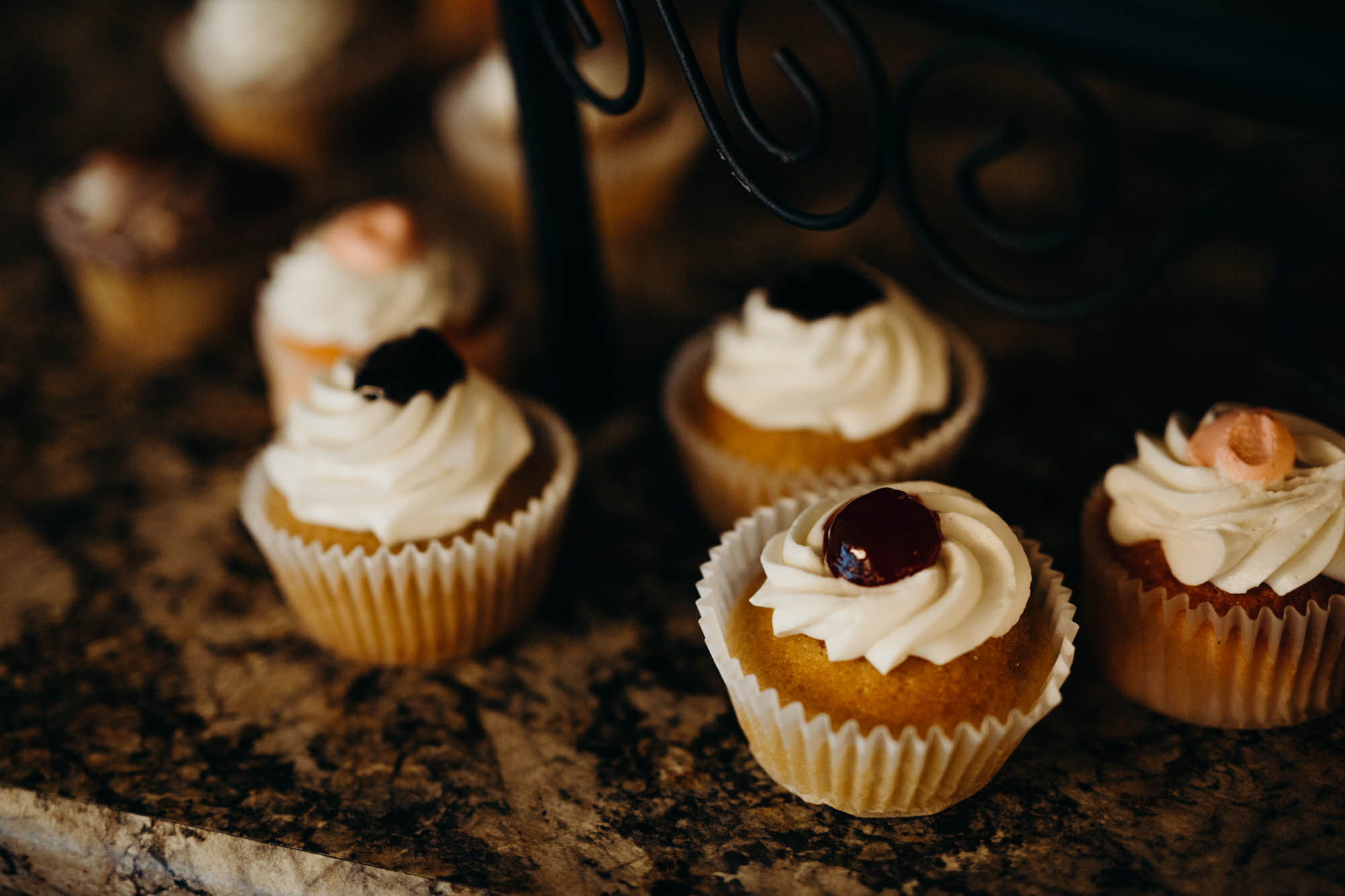 Dibbles Inn Syracuse Wedding Photographer