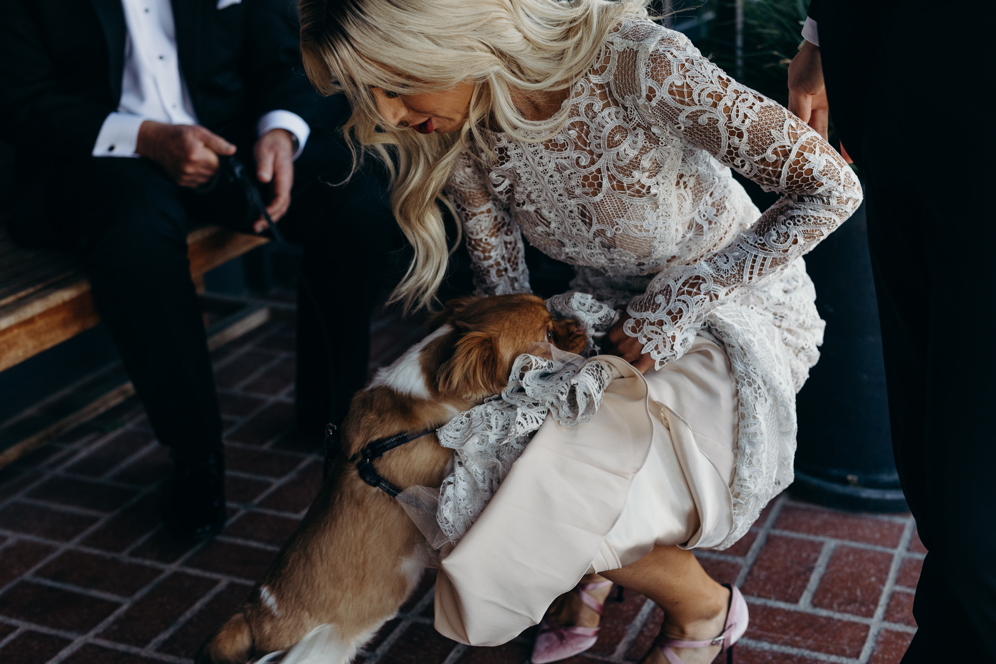 bride with a dog at five crowns in newport CA