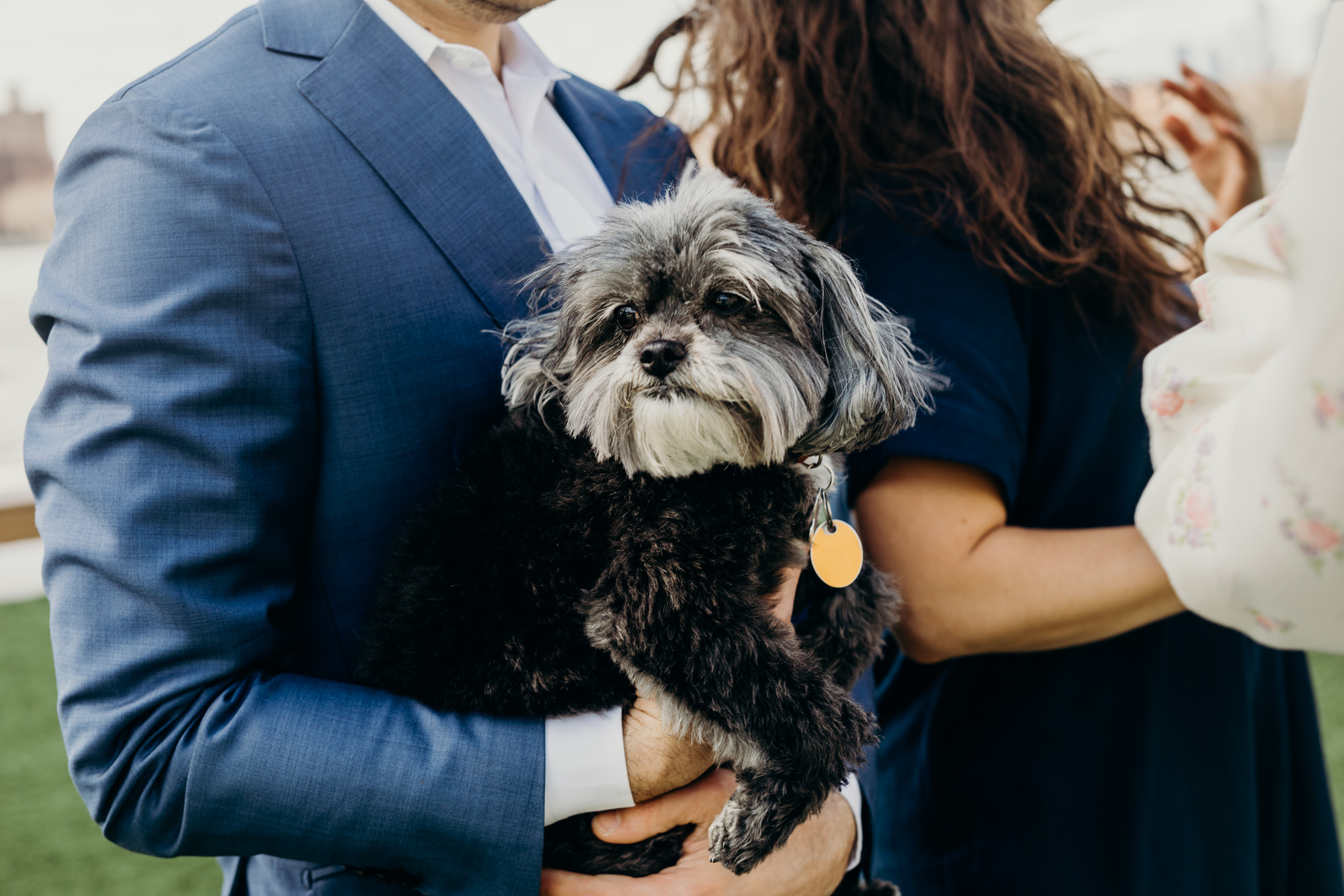 a portrait of a dog at a wedding ceremony at domino park in brooklyn, ny