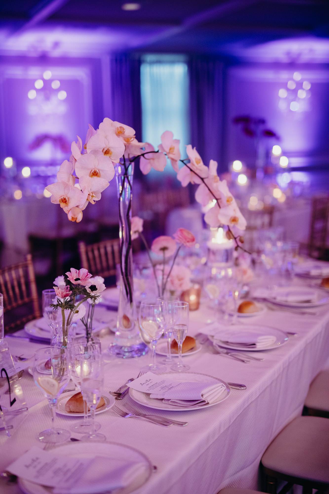 reception details with orchids at the park savoy in florham park, new jersey