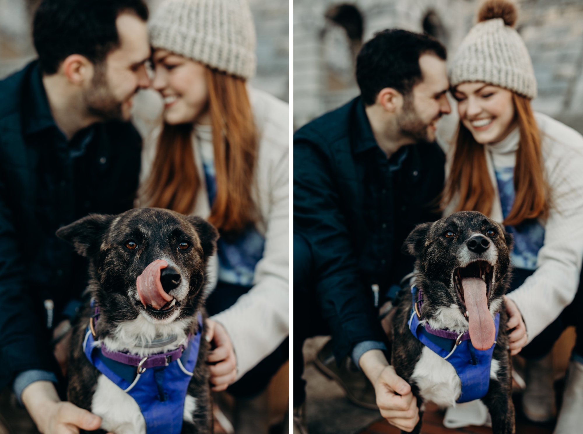 a dog sticks his tongue out in engagement photos with a couple at the kensico dam in white plains, new york